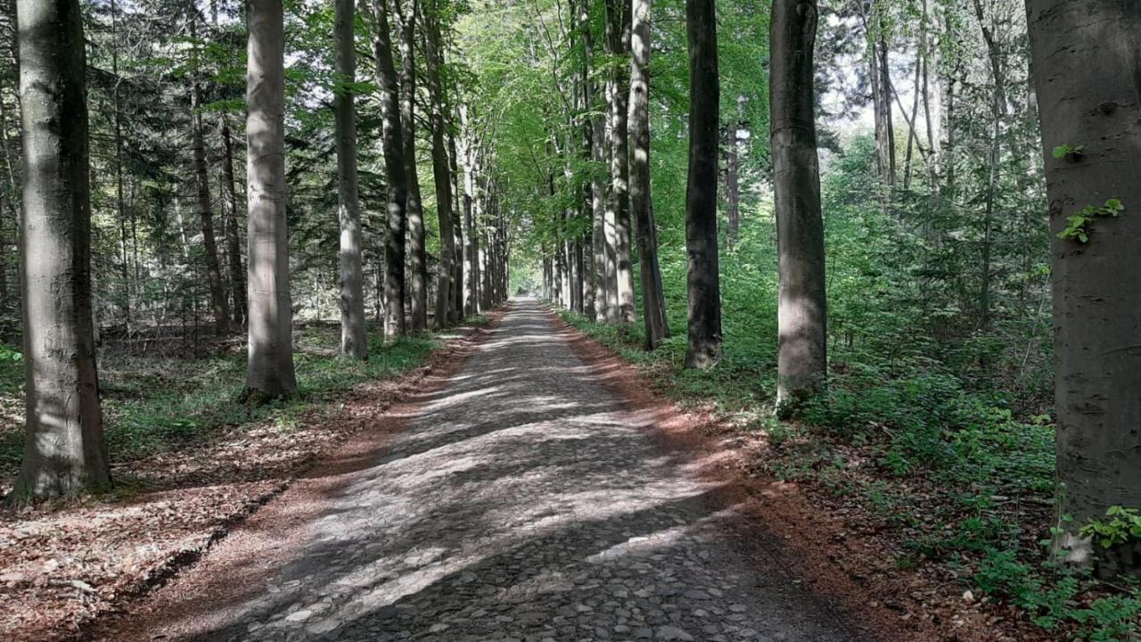 Luxe Natuurhuisje Met Jacuzzi En Haard In Drenthe, Echten Echten  Экстерьер фото