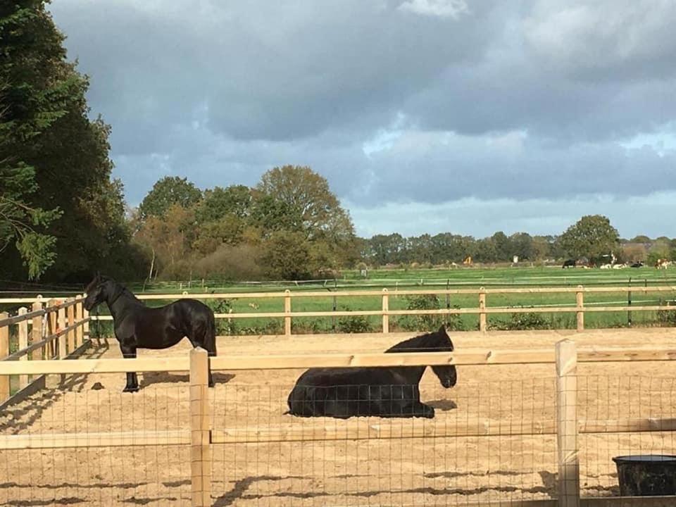 Luxe Natuurhuisje Met Jacuzzi En Haard In Drenthe, Echten Echten  Экстерьер фото
