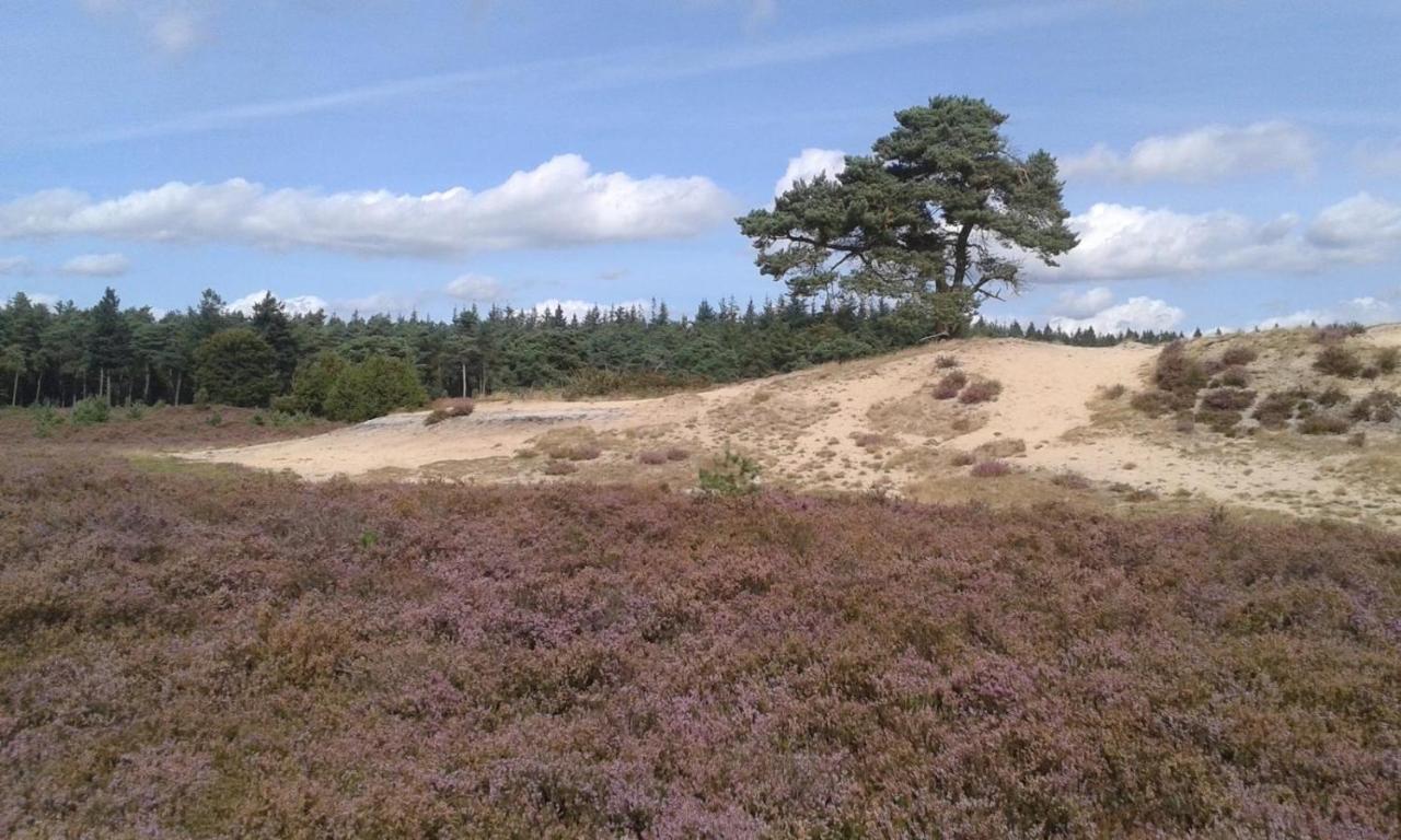 Luxe Natuurhuisje Met Jacuzzi En Haard In Drenthe, Echten Echten  Экстерьер фото