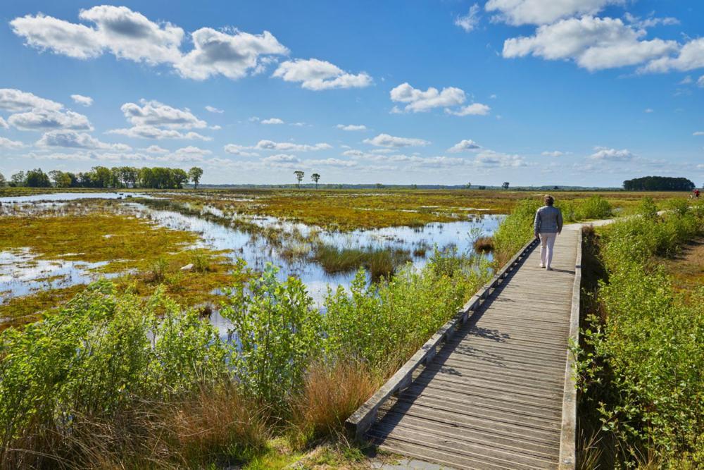 Luxe Natuurhuisje Met Jacuzzi En Haard In Drenthe, Echten Echten  Экстерьер фото