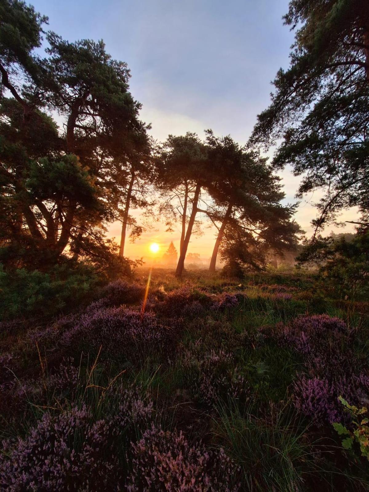 Luxe Natuurhuisje Met Jacuzzi En Haard In Drenthe, Echten Echten  Экстерьер фото