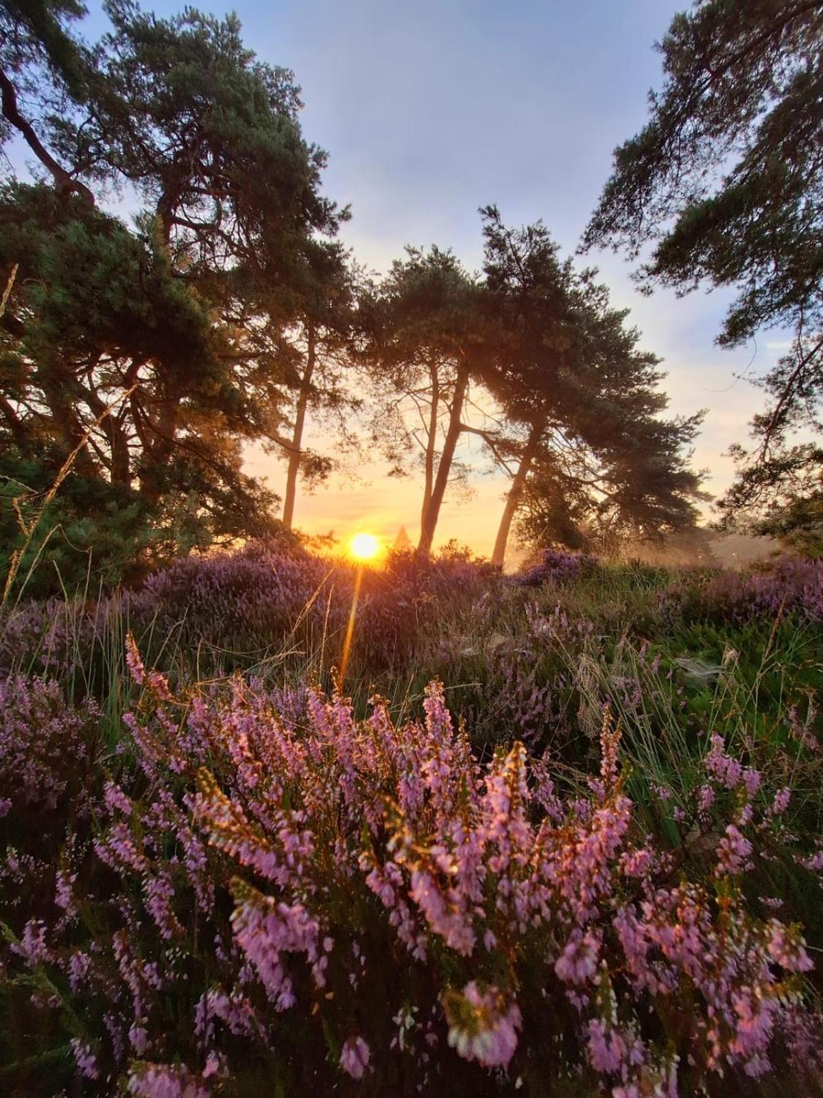 Luxe Natuurhuisje Met Jacuzzi En Haard In Drenthe, Echten Echten  Экстерьер фото
