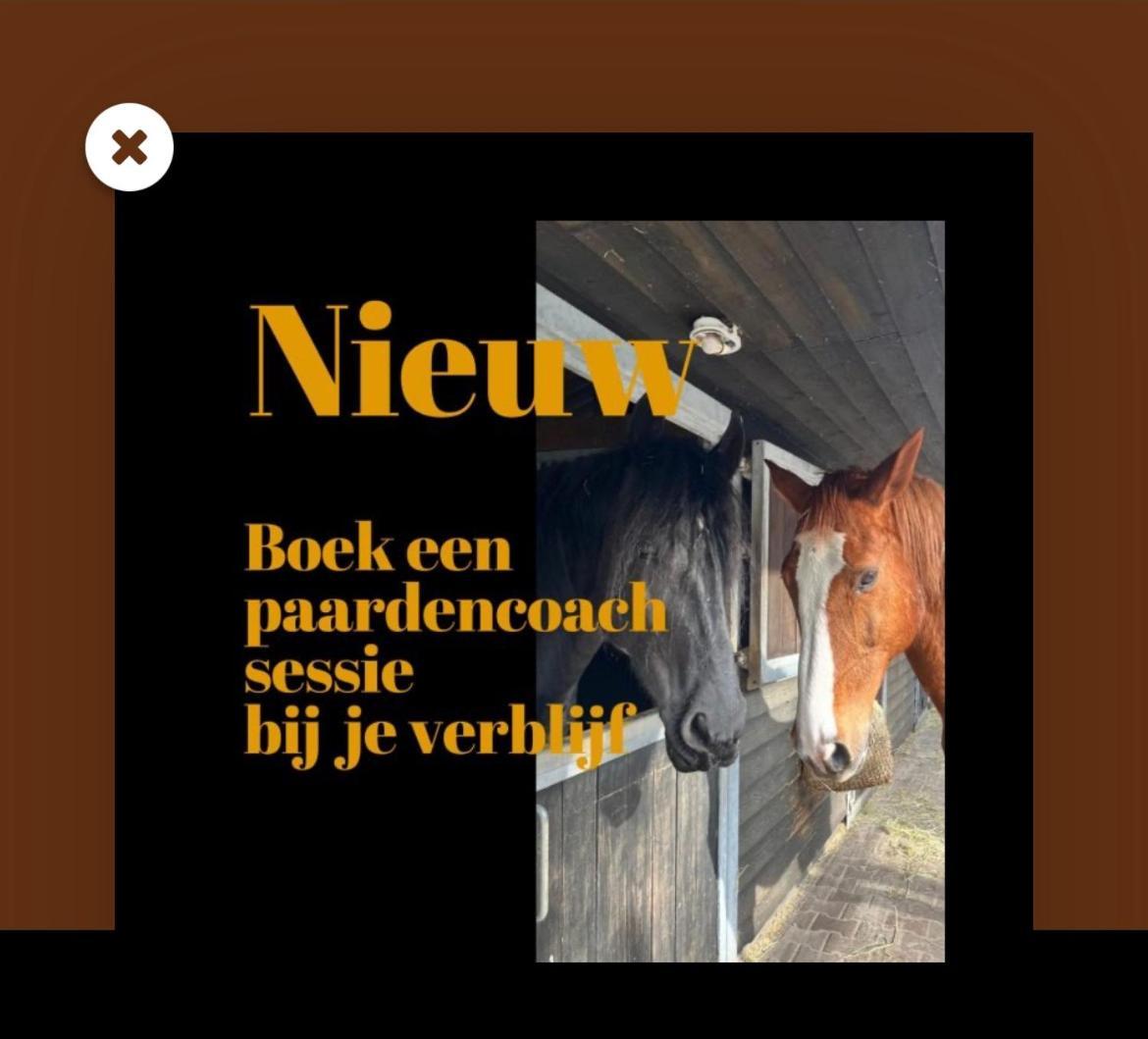 Luxe Natuurhuisje Met Jacuzzi En Haard In Drenthe, Echten Echten  Экстерьер фото
